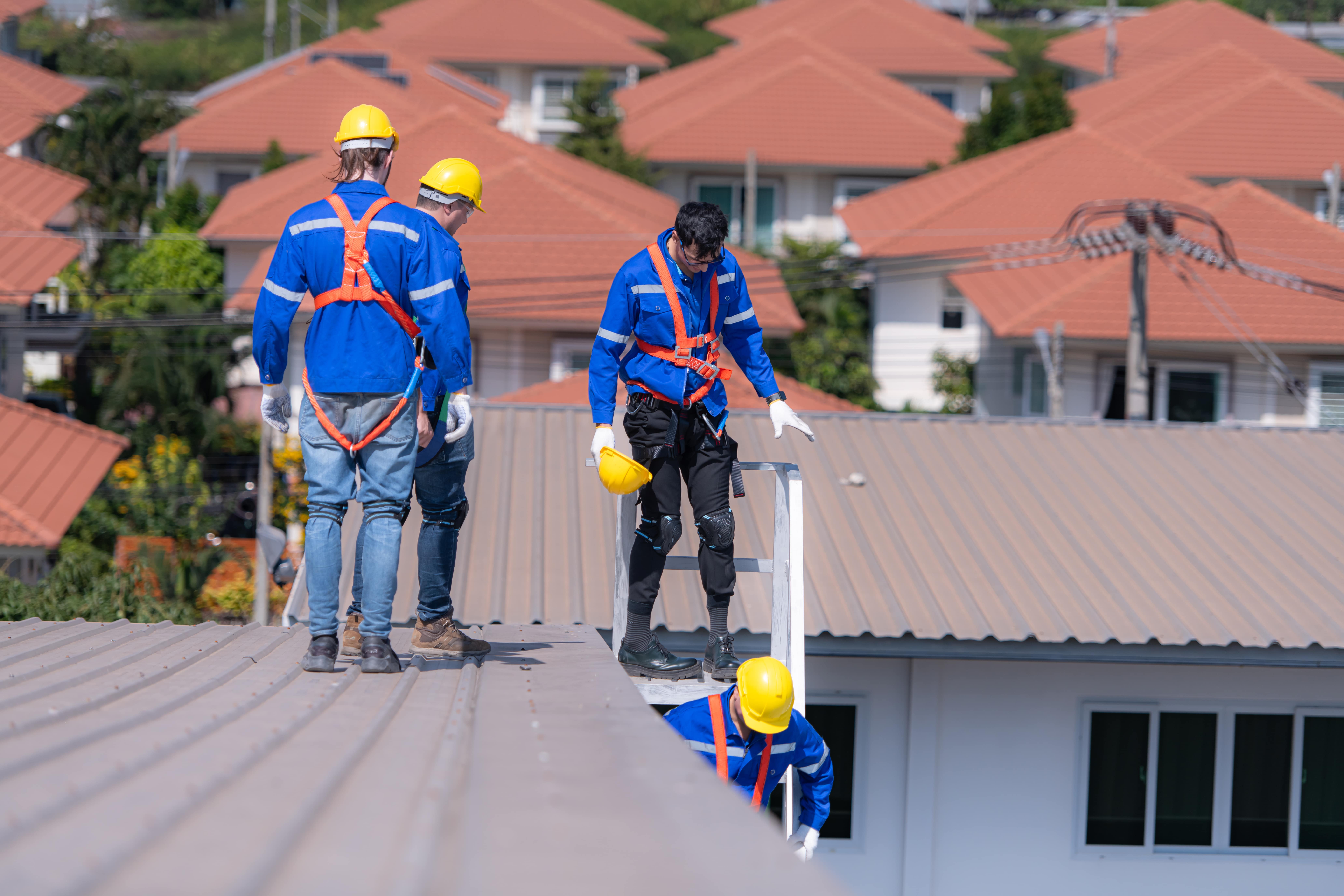 roofers inspecting roof
