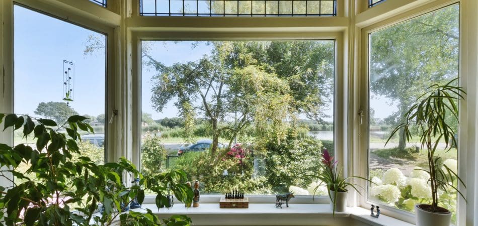 best windows for home