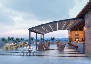 FALCATE-QUERCUS-MINIMA-2-3